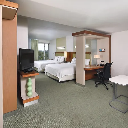 Springhill Suites By Marriott Philadelphia Valley Forge/King Of Prussia-3
