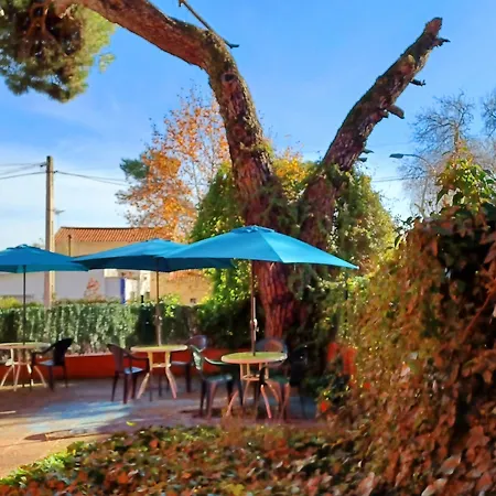 Hostal Aravaca Garden-3