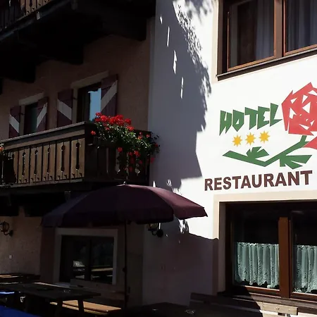 Hotel Rose-2