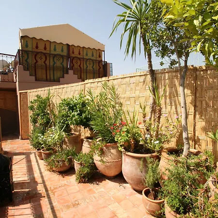Riad Africa - Marrakech Medina Maison D'Hote-3