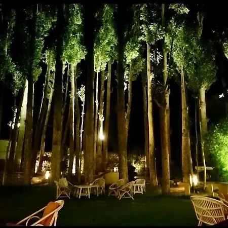 Hotel Shambhala-2