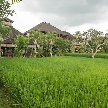 Bliss Ubud Spa Resort-3