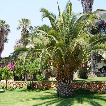 Pataros Hotel-3