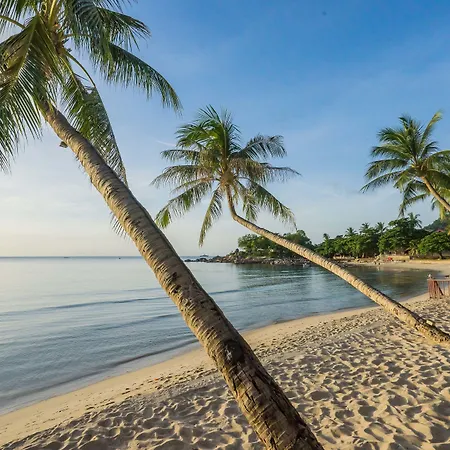 Samui Paradise Chaweng Beach Resort , SHA Plus-3
