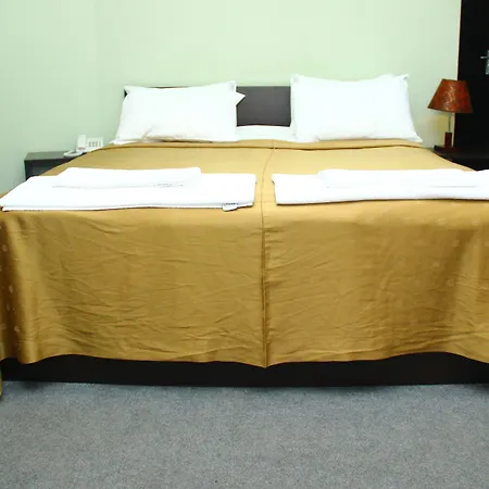 Hotel Shine Palace-2