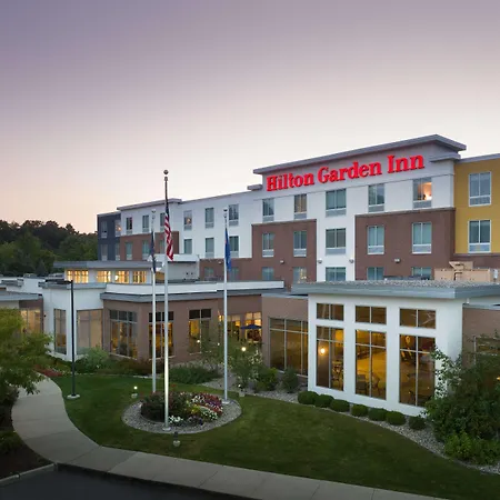 Hilton Garden Inn Ann Arbor-3