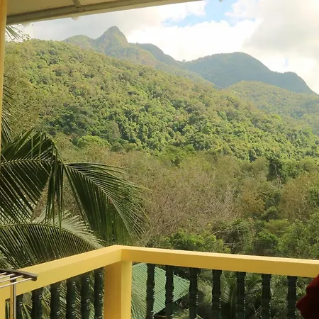 Island Lodge-3