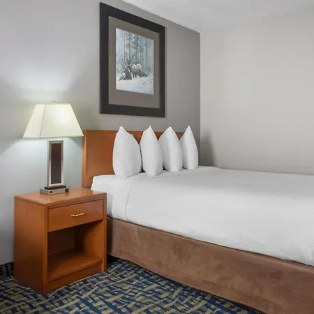 Surestay Plus Hotel By Best Western Lethbridge-3