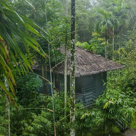 The Woods Resorts Wayanad-2