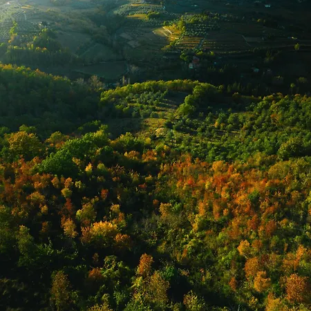 Terre Di Baccio-3