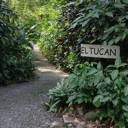 El Tucan Jungle Lodge-3