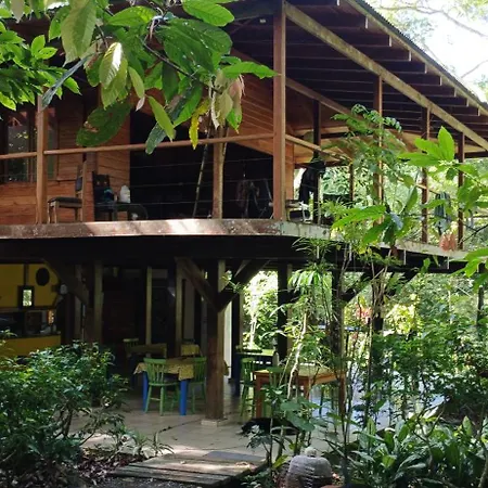 El Tucan Jungle Lodge-2