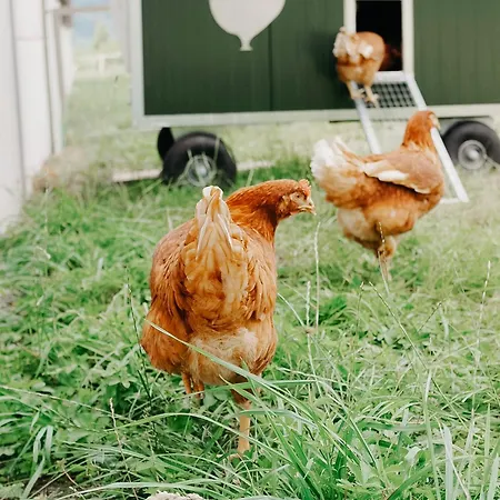 Roudenhaff Guestfarm-2