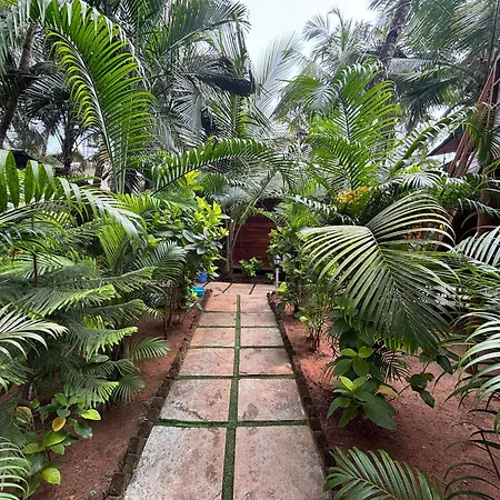 Jardim A Mar-2