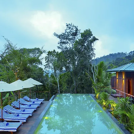 Niraamaya Retreats Cardamom Club-3