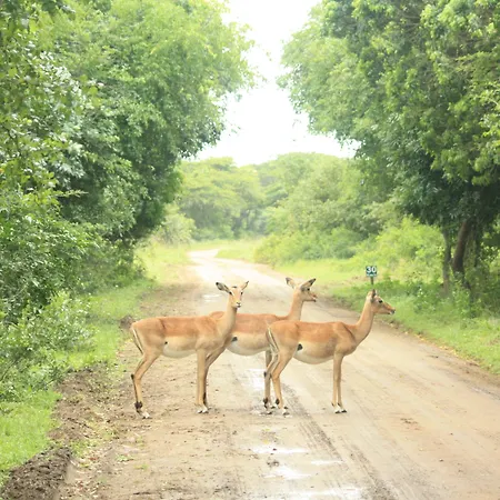 Emdoneni Lodge-2