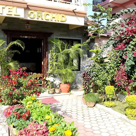 Hotel Orchid-2
