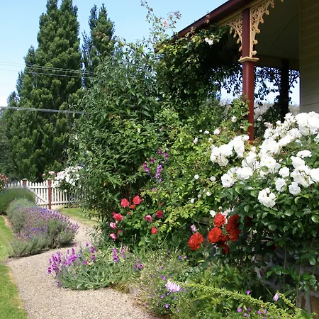 Cambridge House B&B-2