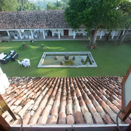 Tamarind Hill-2