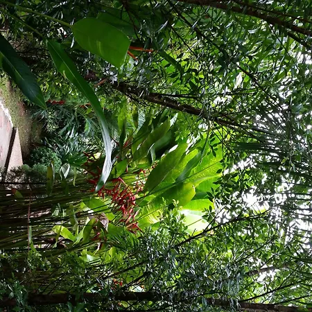 Hotel Khaosok And Spa-2