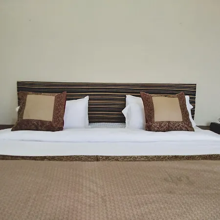 Dwivedi Hotels Palace On Steps-2