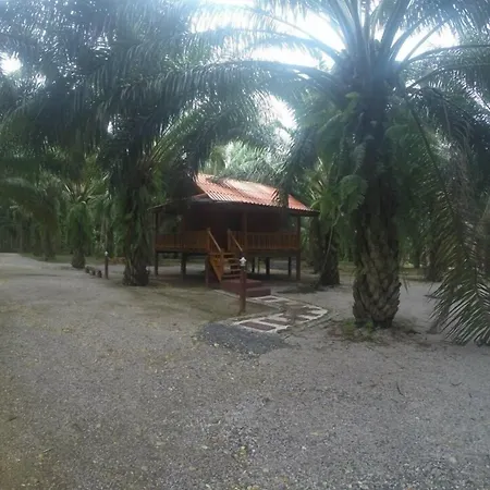 Khao Sok Palmview Resort-2