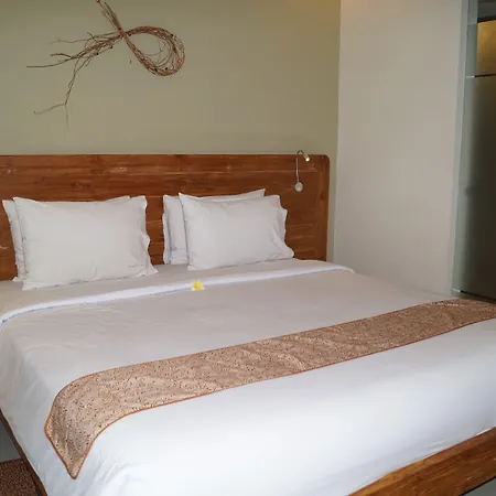 Arana Suite-2