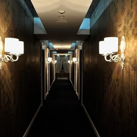 Hotel Ziya-3