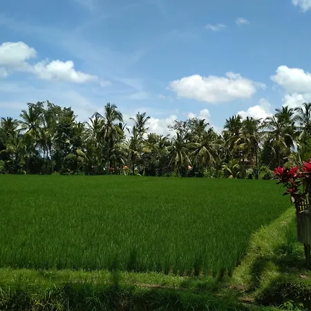 Junjungan Ubud Hotel And Spa-2