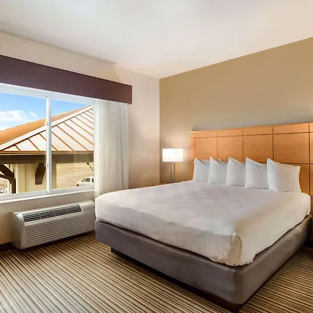 Best Western Shelby Inn & Suites-2