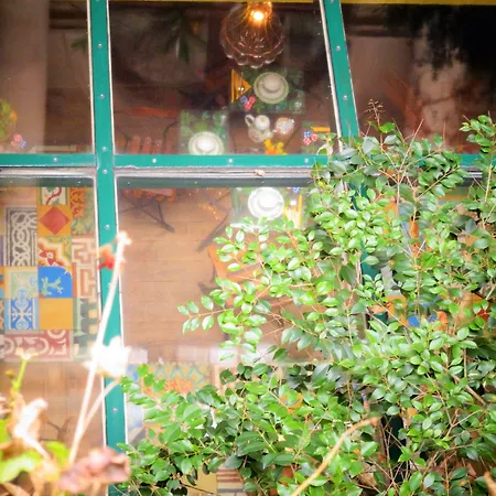 Le Relais Saint Sulpice-3