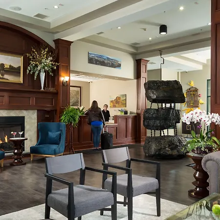 Hotel Anthracite-2