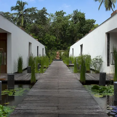 Diwa Club By Alila - A Hyatt Brand-3