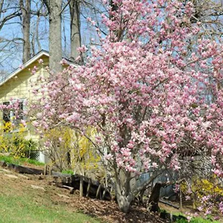 Orchard Inn-3