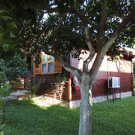 Mercan Bungalow-3