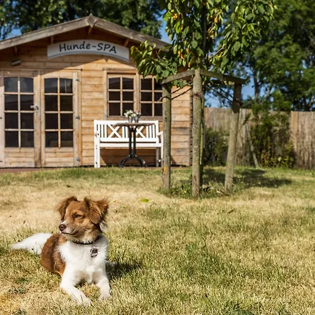 Hotel Pharisäerhof - DAS Hundehotel auf Nordstrand mit Restaurant und Café-2