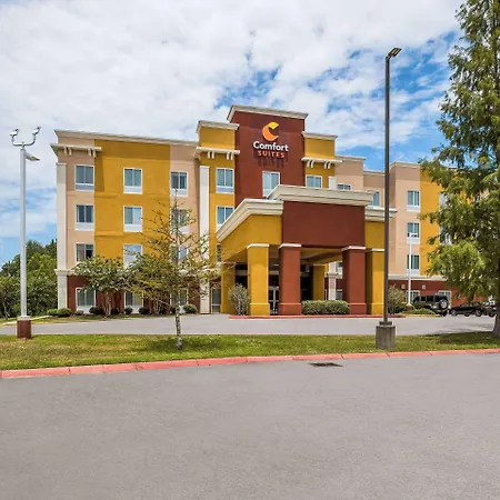 Comfort Suites Denham Springs-2