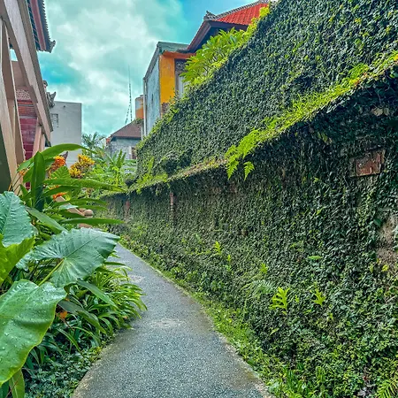 Garden View-2