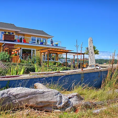 Birds Of A Feather Victoria Oceanfront Studio Suites-3
