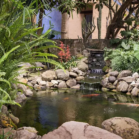 Guayaba Inn Boutique Hotel-2