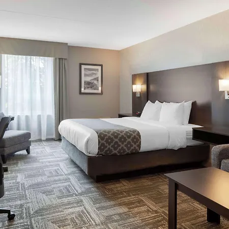Best Western Milton-2