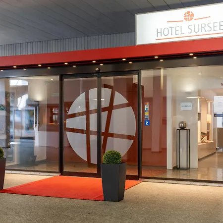Hotel Sursee-3