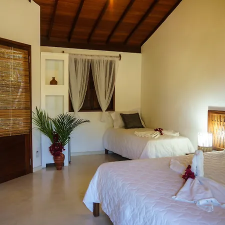 Pousada Samambaia-2