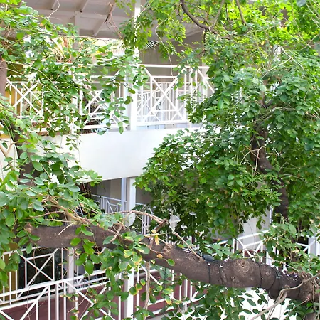 Altamont Court Hotel-2