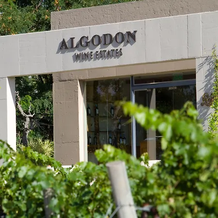 Algodon Wine Estates & Champions Club-2