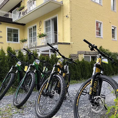 Hotel Lindenhof-3