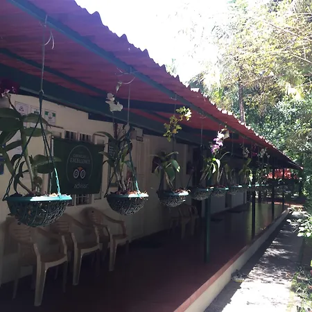 Palm Grove Service Villa-3