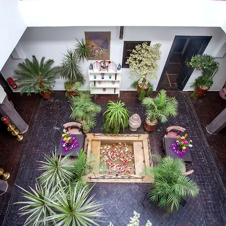 Ryad Amiran & Spa-3