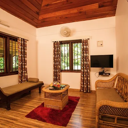 Wayanad Heritage Pool Resort-3