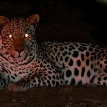 Bonamanzi Game Reserve-2